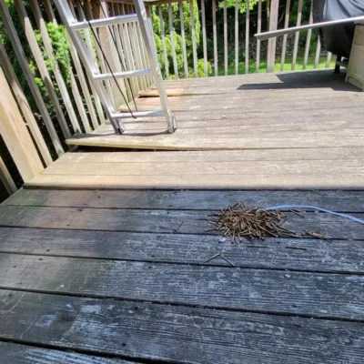 Deck construction - Kaon Roofs